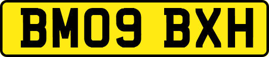 BM09BXH