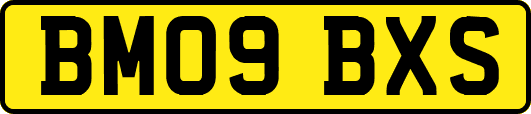 BM09BXS