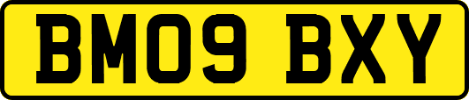 BM09BXY