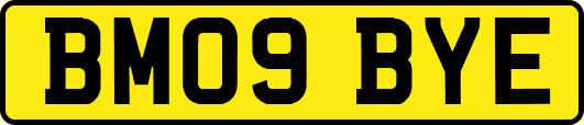 BM09BYE