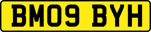 BM09BYH