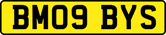 BM09BYS