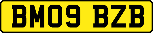 BM09BZB