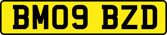 BM09BZD
