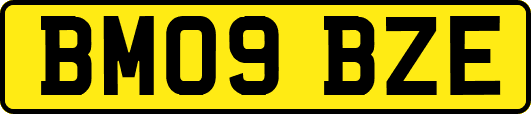BM09BZE