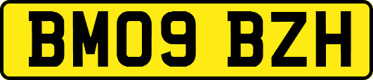 BM09BZH