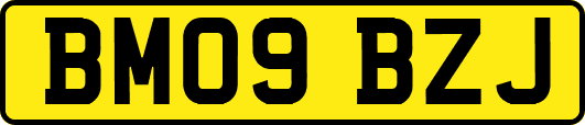 BM09BZJ