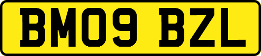 BM09BZL