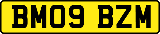 BM09BZM