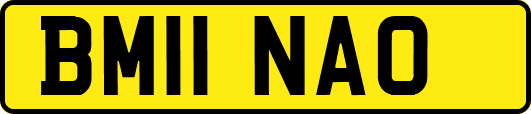 BM11NAO