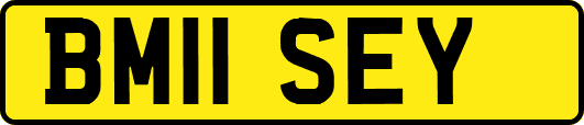 BM11SEY