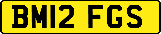 BM12FGS