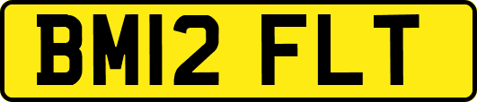 BM12FLT