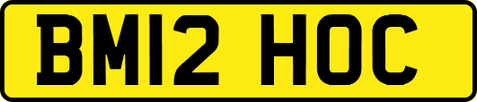 BM12HOC