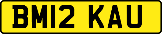 BM12KAU