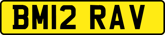 BM12RAV