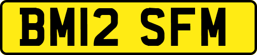 BM12SFM