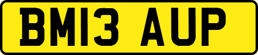 BM13AUP