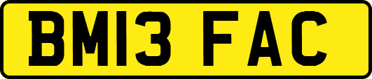 BM13FAC