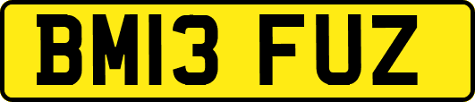BM13FUZ
