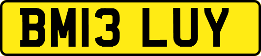 BM13LUY