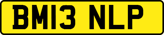 BM13NLP