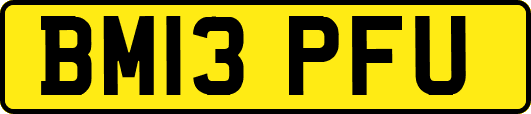 BM13PFU