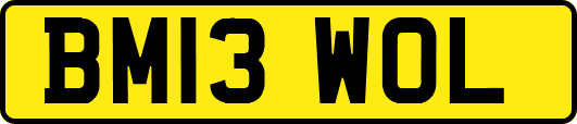 BM13WOL