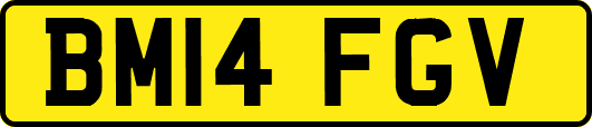 BM14FGV