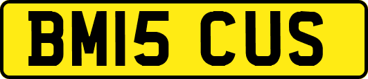 BM15CUS