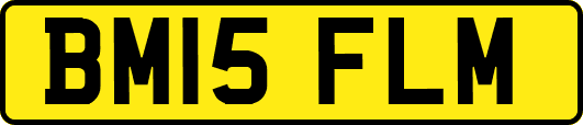 BM15FLM