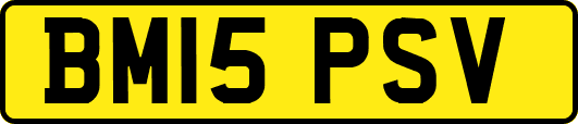 BM15PSV