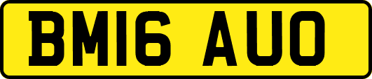 BM16AUO