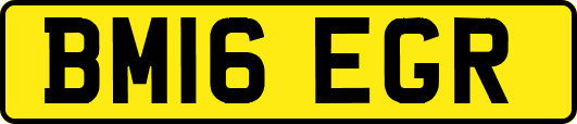 BM16EGR