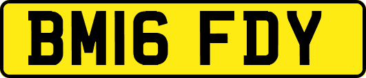 BM16FDY
