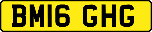 BM16GHG