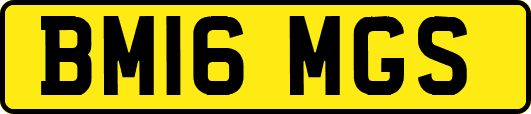BM16MGS