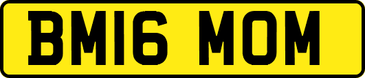 BM16MOM