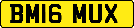 BM16MUX