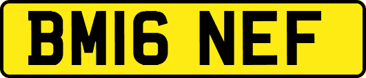 BM16NEF