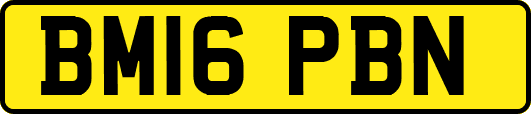 BM16PBN