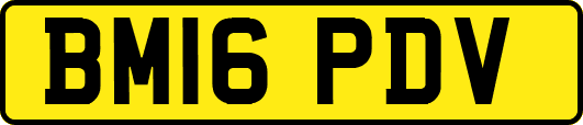 BM16PDV