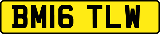 BM16TLW