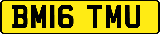 BM16TMU