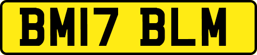 BM17BLM