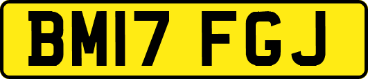 BM17FGJ