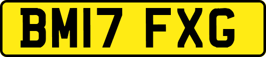 BM17FXG