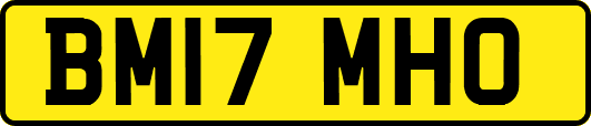 BM17MHO