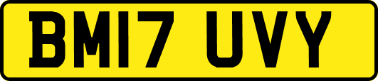 BM17UVY