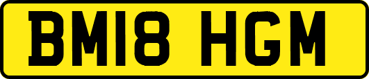 BM18HGM